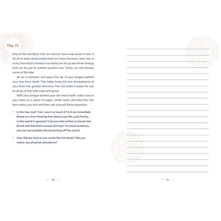 Hachette Book Group - Wholesale Journal/Diary - 100 Days to Calm: A Journal for Finding Everday Tranquility5