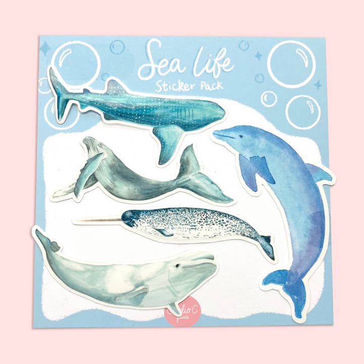 Sea Life Sticker Pack for engroshandel hos Studio C Paper