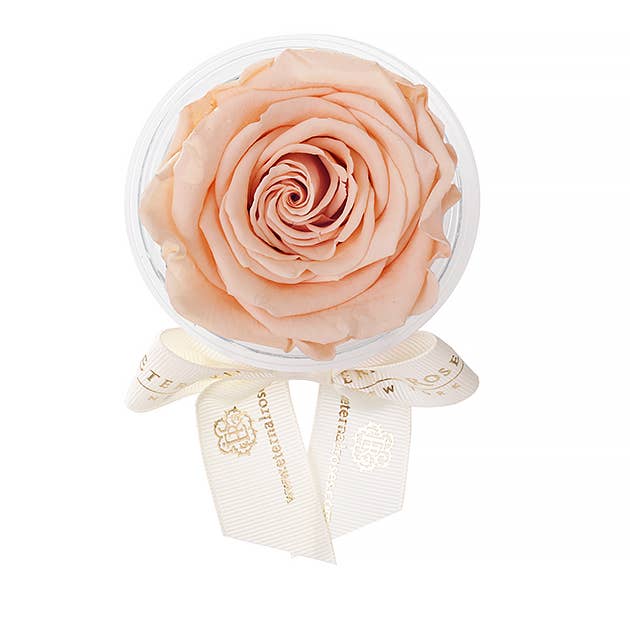 Eternal Roses® - Wholesale Party Favor - Eternal Rose Party Favors32