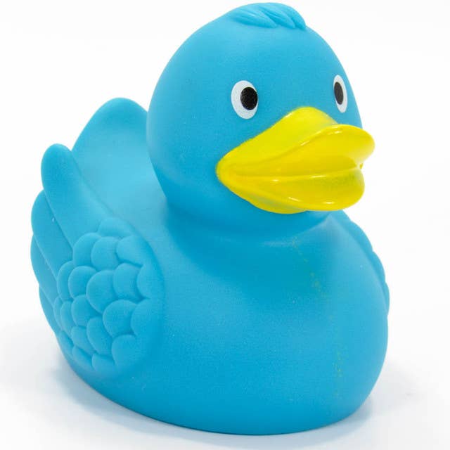 Ducks in the Window - Wholesale Bath Toy - Baby - Turquoise Rubber Duck