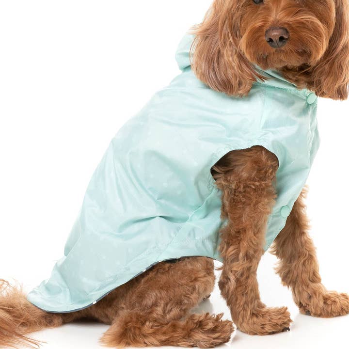 Flipside 24 Raincoat - Mint for wholesale by In Vogue Pets