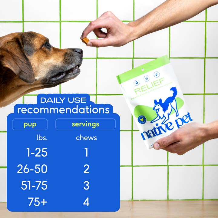 Native Pet - Wholesale Pet Supplement - Dog - Hip+Joint Inflammatory Care Chews, Hip & Joint Supplement6