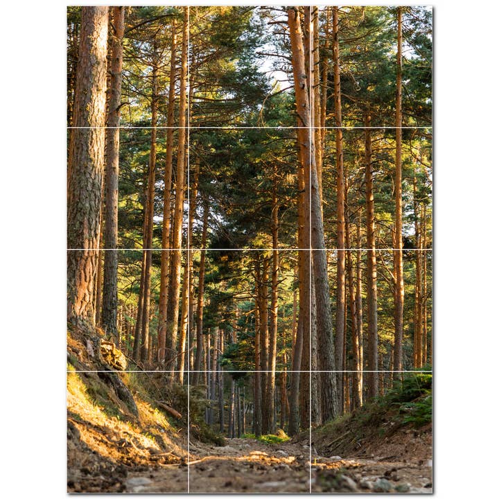 Autumn Ceramic Tile Ceramic Tile Mural PT500007 for wholesale by Picture-Tiles.com