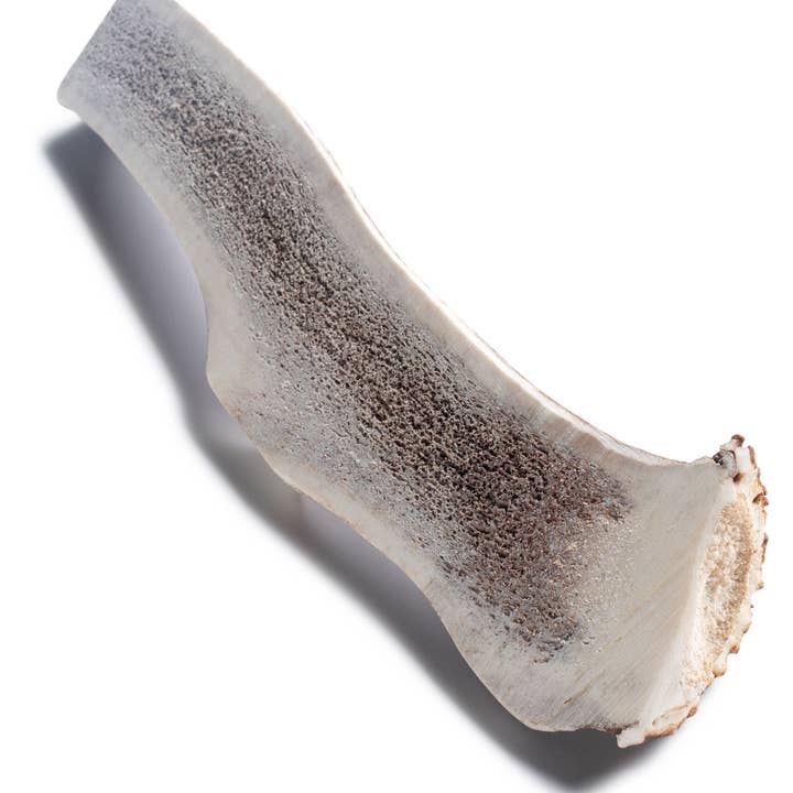 Deer Antler Small Split for wholesale by Woof Island