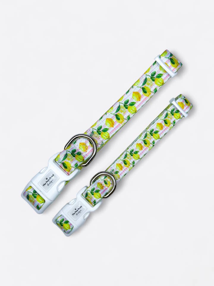 Colar La Dolce Vita por atacado de The Paw Print Boutique