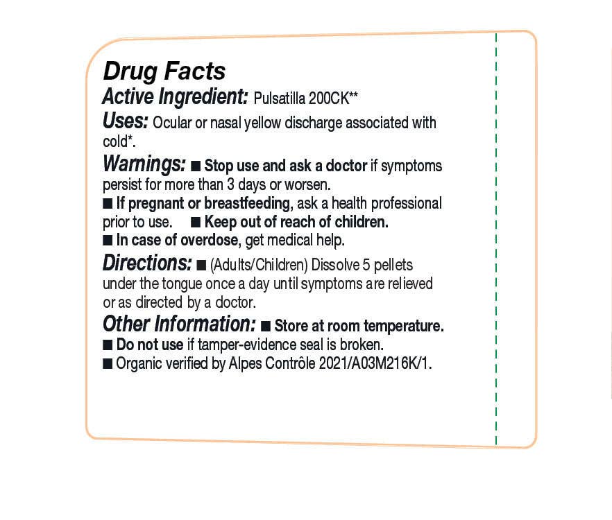 Ollois - Wholesale Oral Supplement/Vitamin - Olloïs Pulsatilla 200CK Vegan Organic kosher, 80 Pellets2