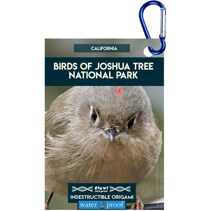 Birds of Joshua Tree NP-Indestructible Origami for wholesale by Flexi Field Guides