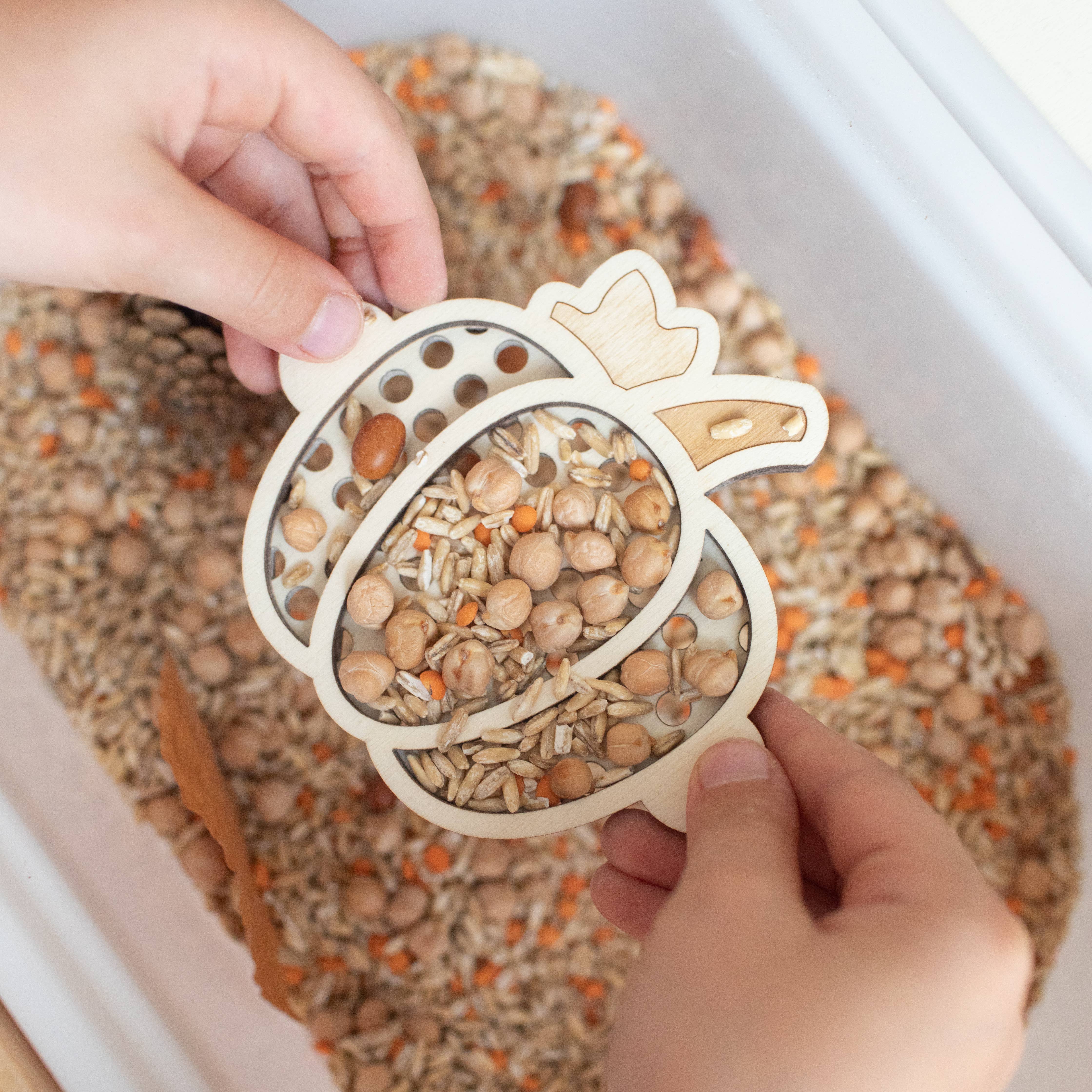 Studio de Rijk - Wholesale Wood Toy - Kids - Wooden sieve - Pumpkin