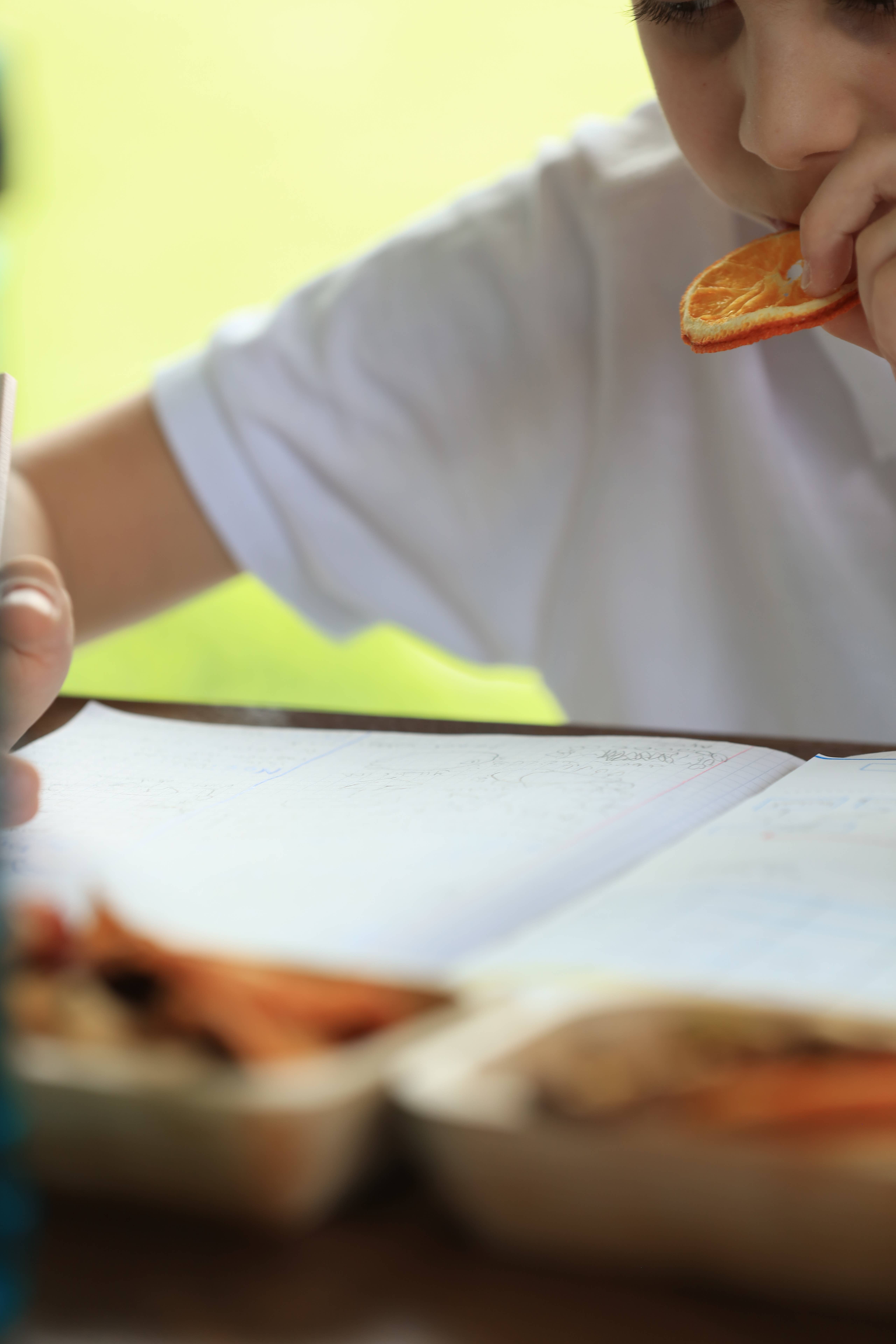 WestShine – wholesale Dried/dehydrated fruit – Organic Dried Orange Slices, Navel Orange, Pieces, Bits,19