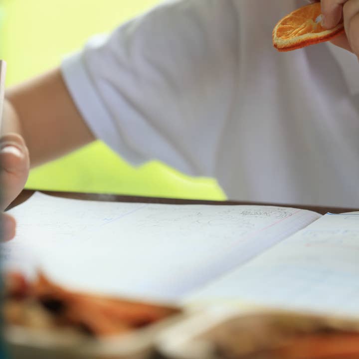 WestShine – wholesale Dried/dehydrated fruit – Organic Dried Orange Slices, Navel Orange, Pieces, Bits,19