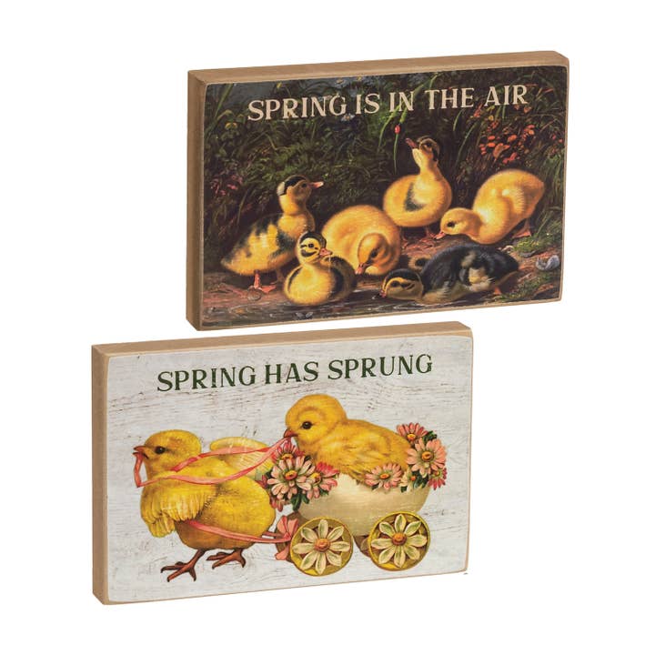 Spring Has Sprung Vintage Chick Block - 2 Asstd. for wholesale by The Hearthside Collection