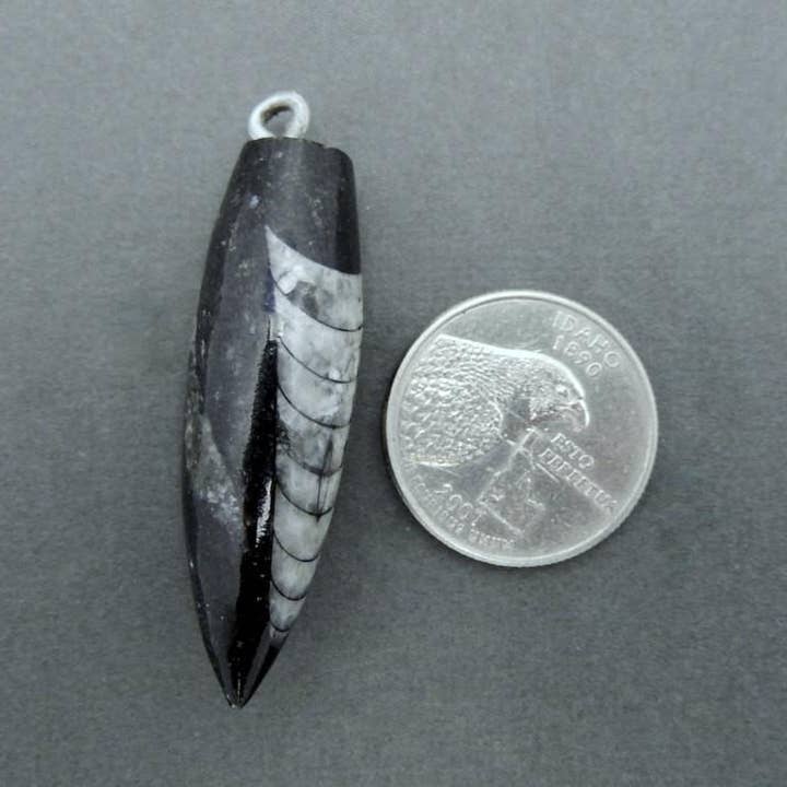 Rock Paradise - Wholesale Individual Charm/Pendant - Orthoceras Point Fossil Spike Pendant with Silver Plated Bai