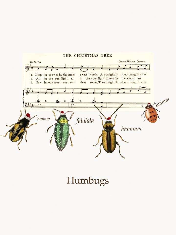HUMBUGS 5x7 Holiday Card for wholesale by P. Flynn Design / Phun House