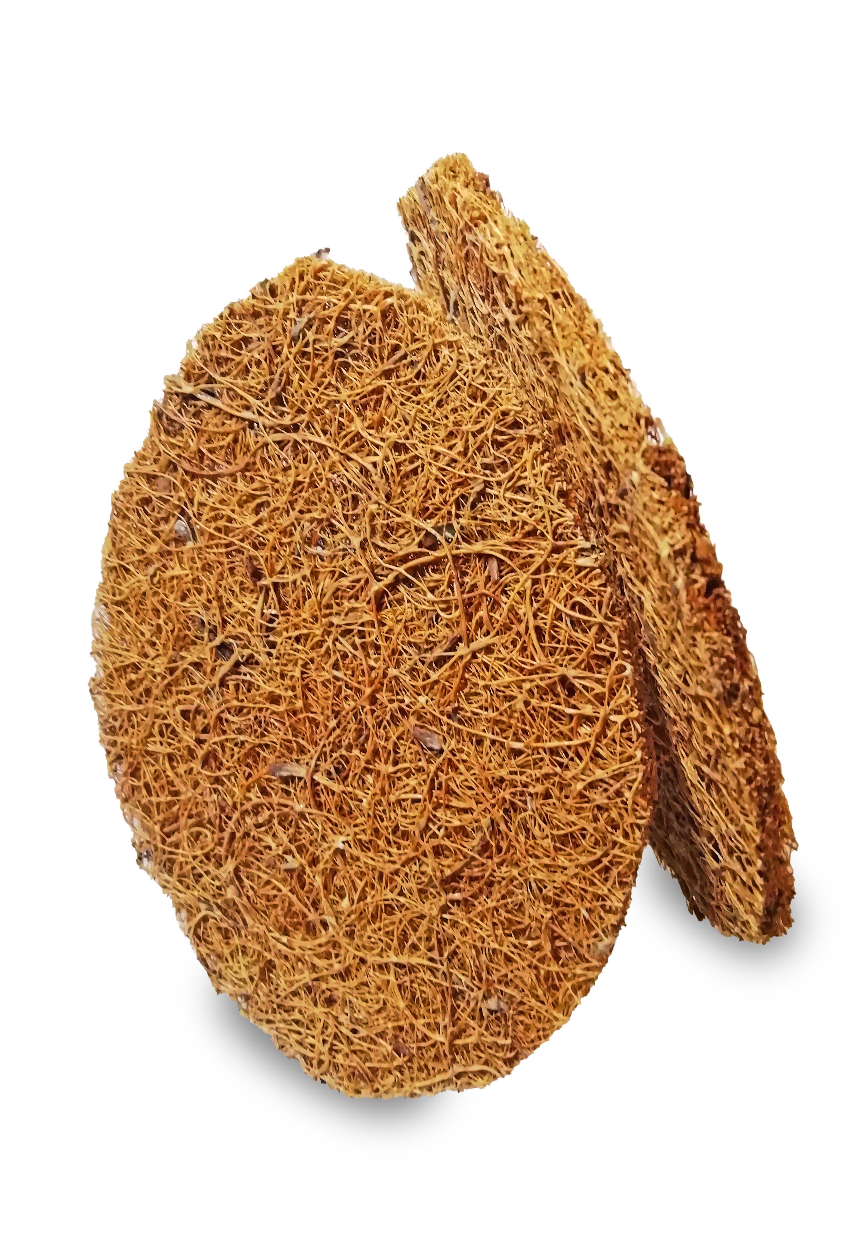 Eco-vie – Großhandel Körperpeeling – Kokosnuss-Peeling-Körper-Polben X 2 - 21