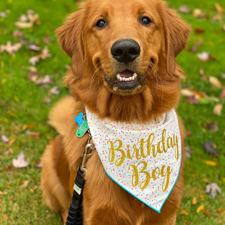 Paisley Paw Designs - Wholesale Pet Bandana - Dog - Dog Birthday Bandana | Birthday Boy | Pet Bandana | Party1