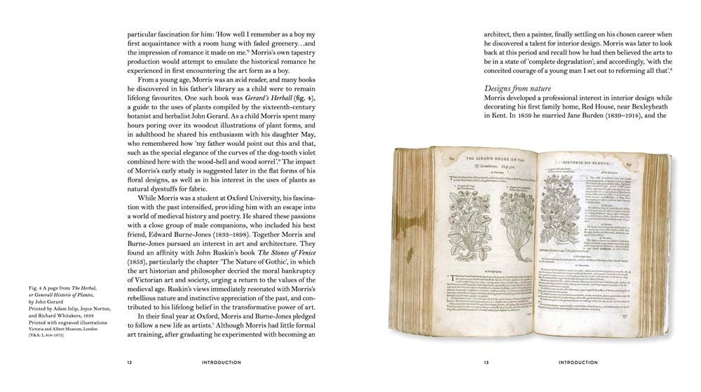 W. W. Norton - Wholesale Arts & Entertainment - William Morris's Flowers2