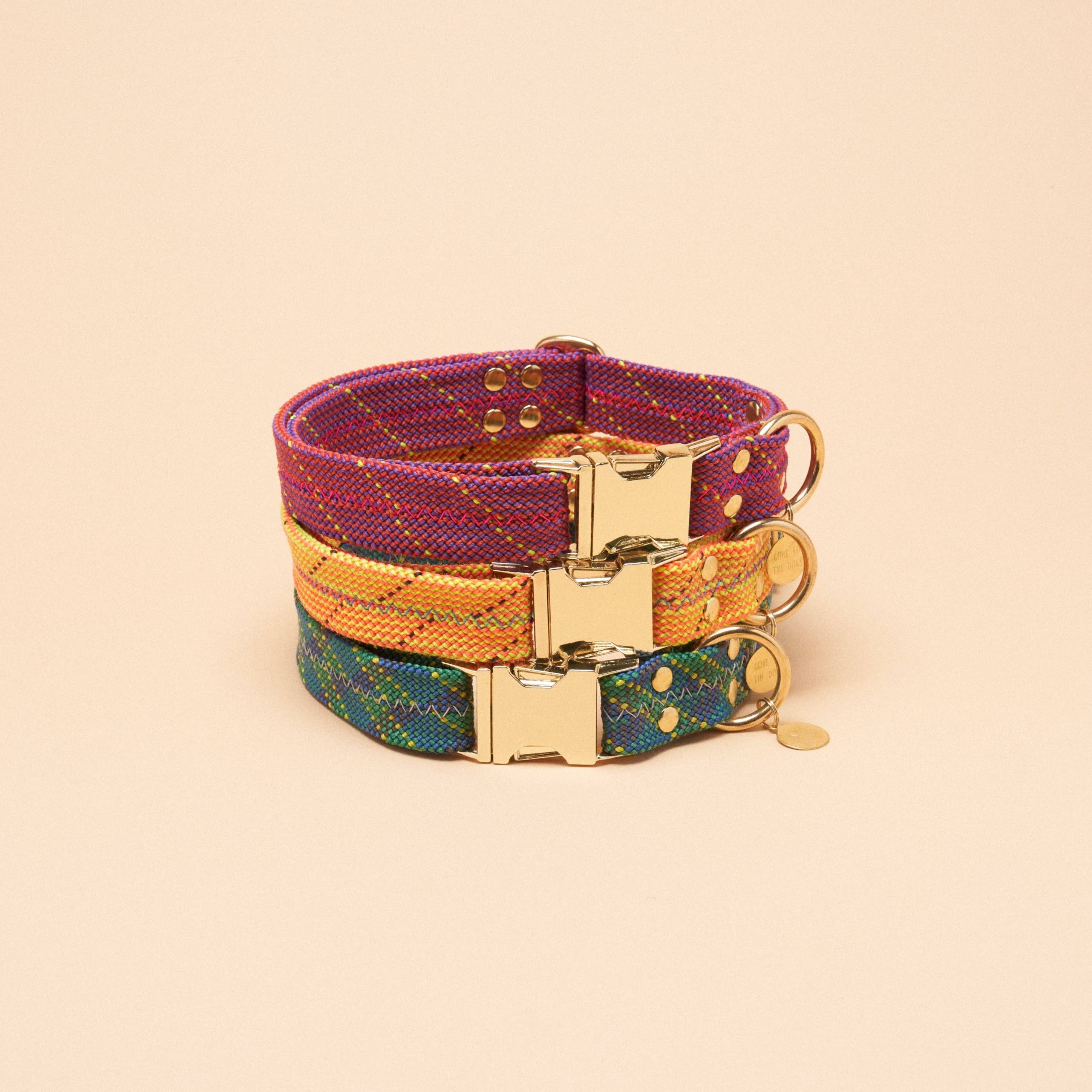 Dexter Large Dog Collar - Turbo Yellow for wholesale on Faire3