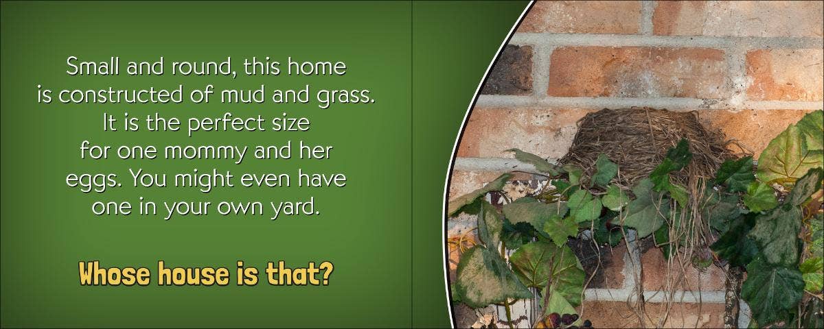 AdventureKEEN - Wholesale Nature & Outdoors Book - Whose House Is That?3