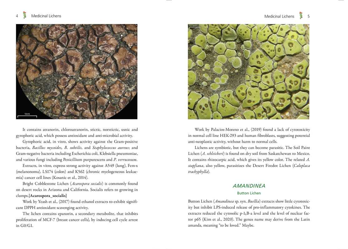 Simon & Schuster - Wholesale Medical Health - Medicinal Lichens by Robert Dale Rogers2