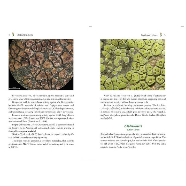 Simon & Schuster - Wholesale Medical Health - Medicinal Lichens by Robert Dale Rogers2