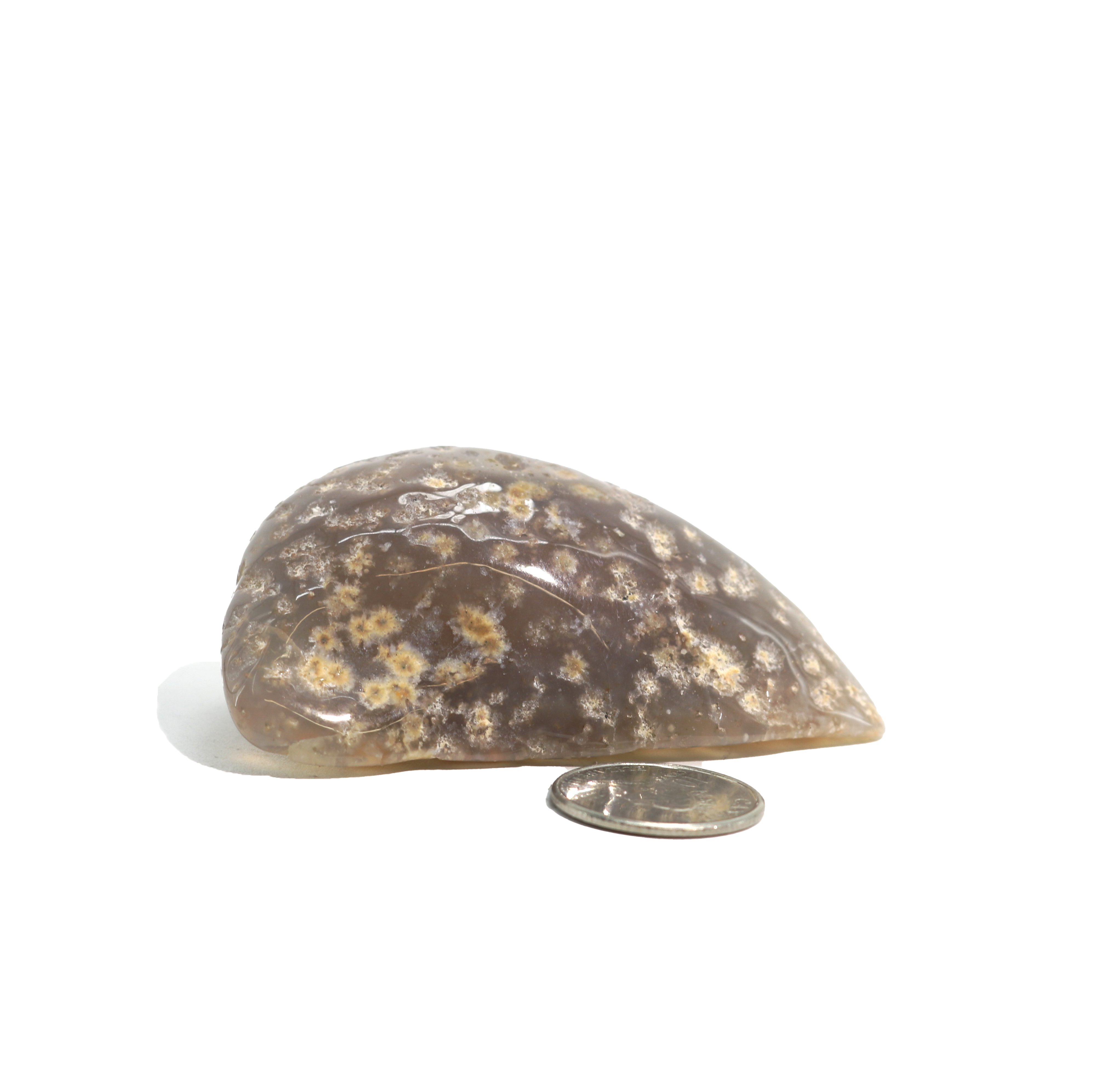 Stonebridge Imports – Engroshandel Spirituelle sten og krystaller – Enhydro Agat Geoder - 2 1/2"7