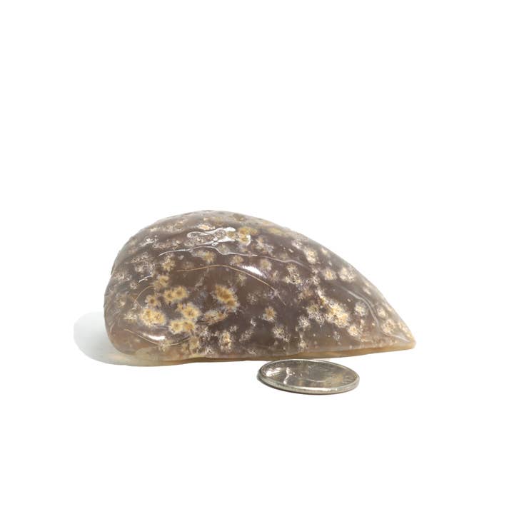 Stonebridge Imports – Engroshandel Spirituelle sten og krystaller – Enhydro Agat Geoder - 2 1/2"7