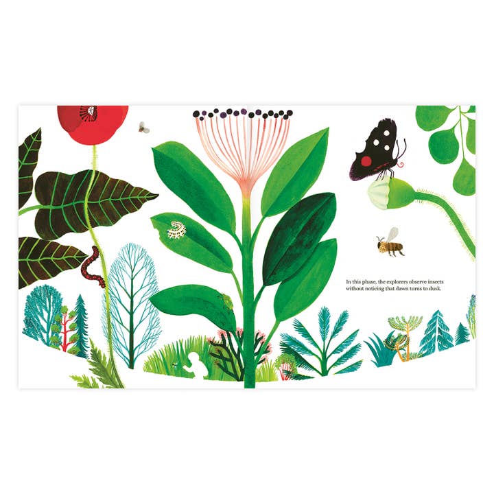 Enchanted Lion Books - Wholesale Book - Kids - The Forest