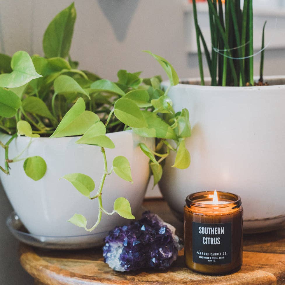 Paradox Candle Co. - Wholesale Jar/Filled Candle - SOUTHERN CITRUS CANDLE 8OZ3