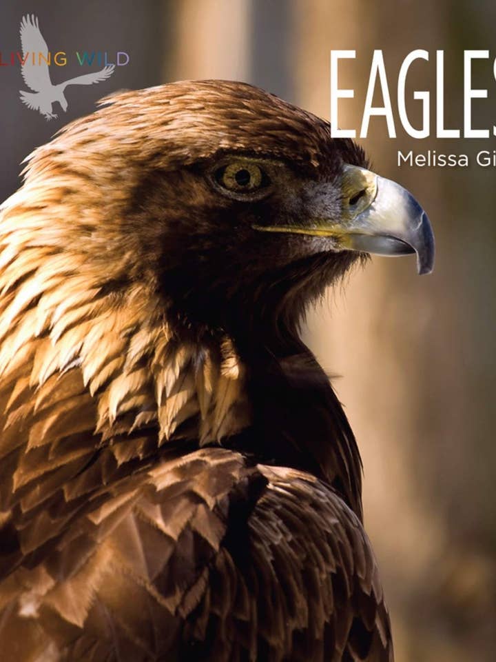 Levande vilda: Eagles för wholesale av The Creative Company