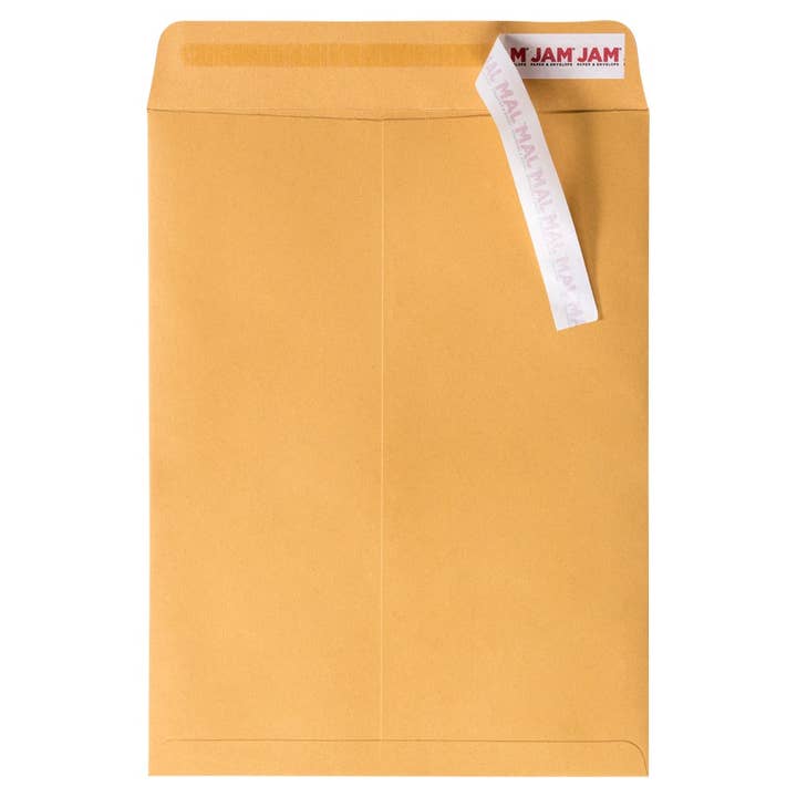 JAM PAPER - Wholesale Envelopes - 9x12 Brown Kraft Manila Envelopes, Peel & Seal, 100-Pack1