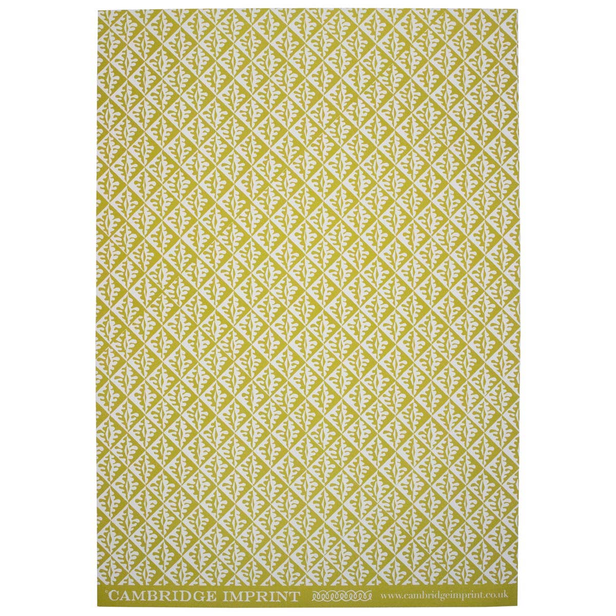 Cambridge Imprint - Wholesale Flat wrap - Patterned Paper Oak Leaves Sap Green1