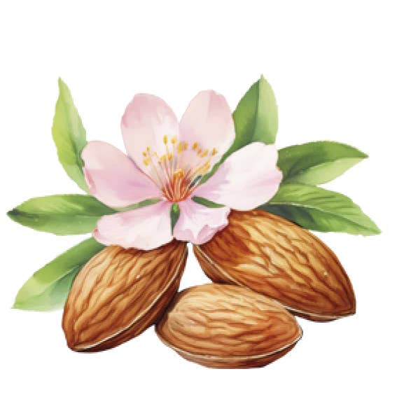 Made in Spain - Wholesale Crackers - Crackers Toast with Almonds Crisps, for Cheese Lady Joseph6