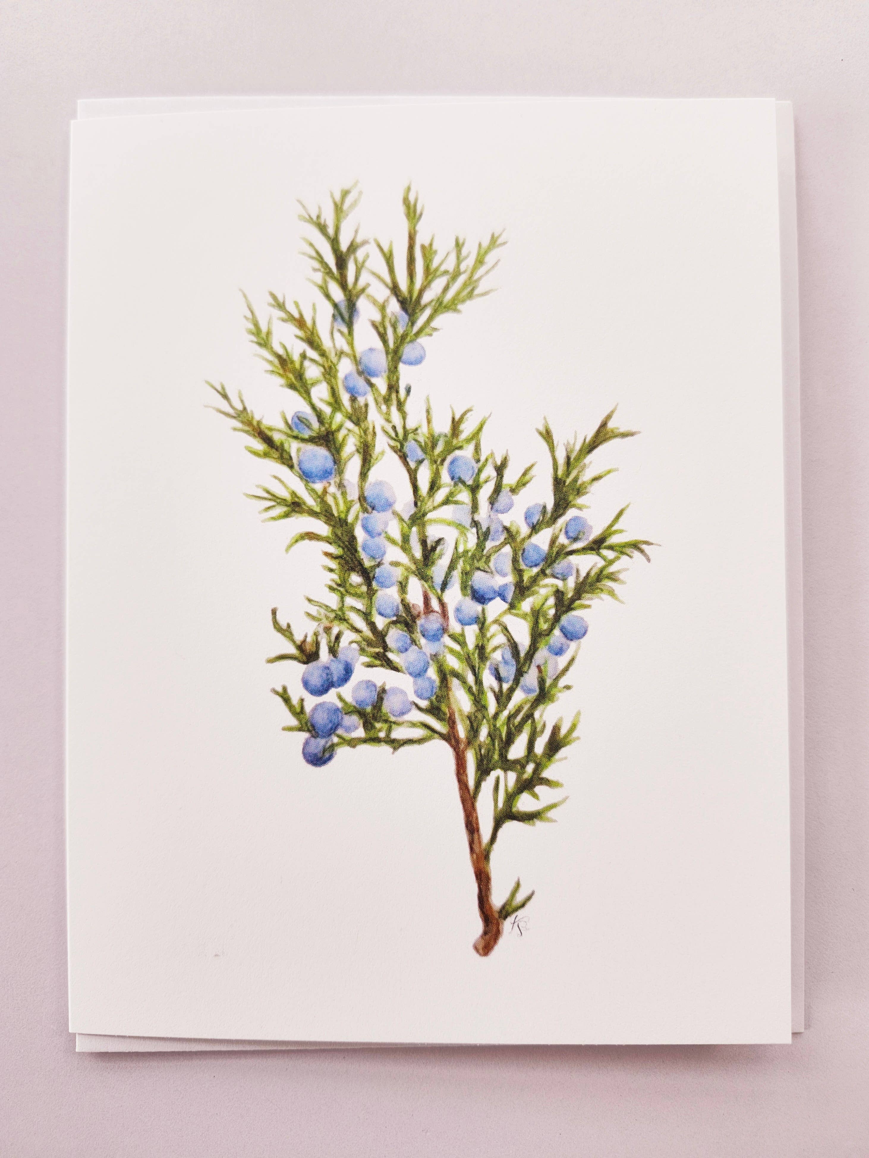 Redbriar Studio - Wholesale Stationery/Notecard Set - Notecards36