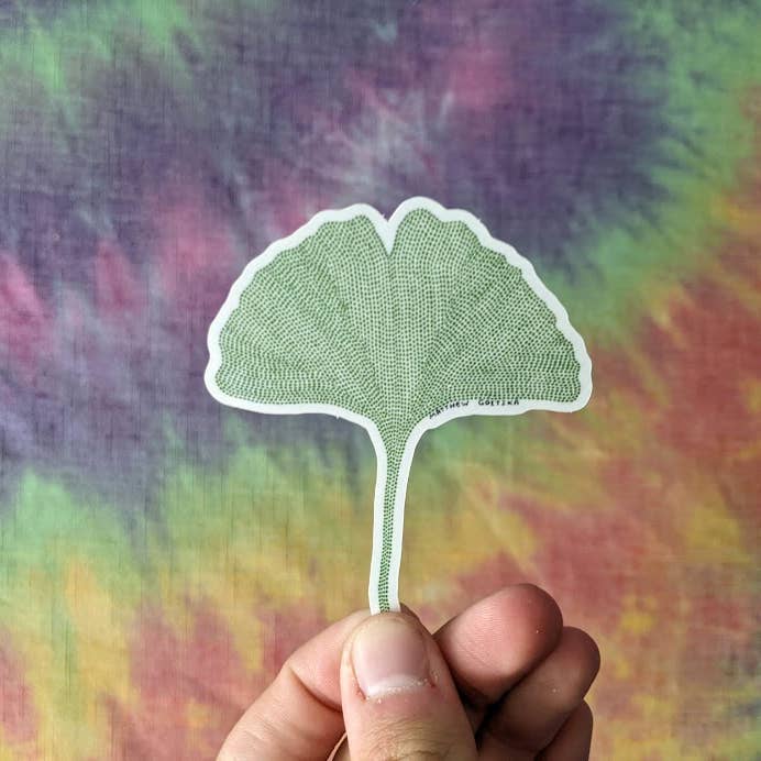 Gingko Leaf Sticker for engroshandel hos Matthew Goetzka ~ The Patient Artist
