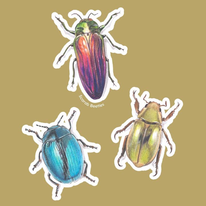 Skalbaggar - Set med 3 klistermärken för wholesale av Hayley Wilson