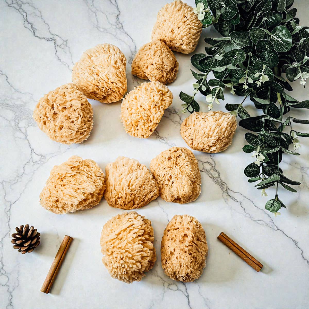 Gia Roma - Wholesale Bath Pouf/Sponge - Dead Sea Sponge, All Natural Body Wash Loofah 4-5"29