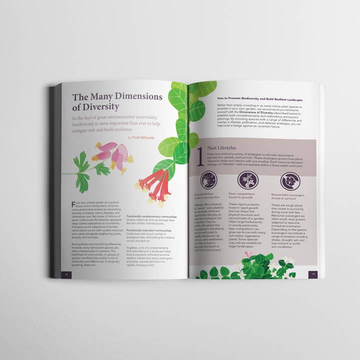 Wild Seed Project - Wholesale Nature and outdoors - Gardening for Biodiversity: Native Plants for the Northeast4