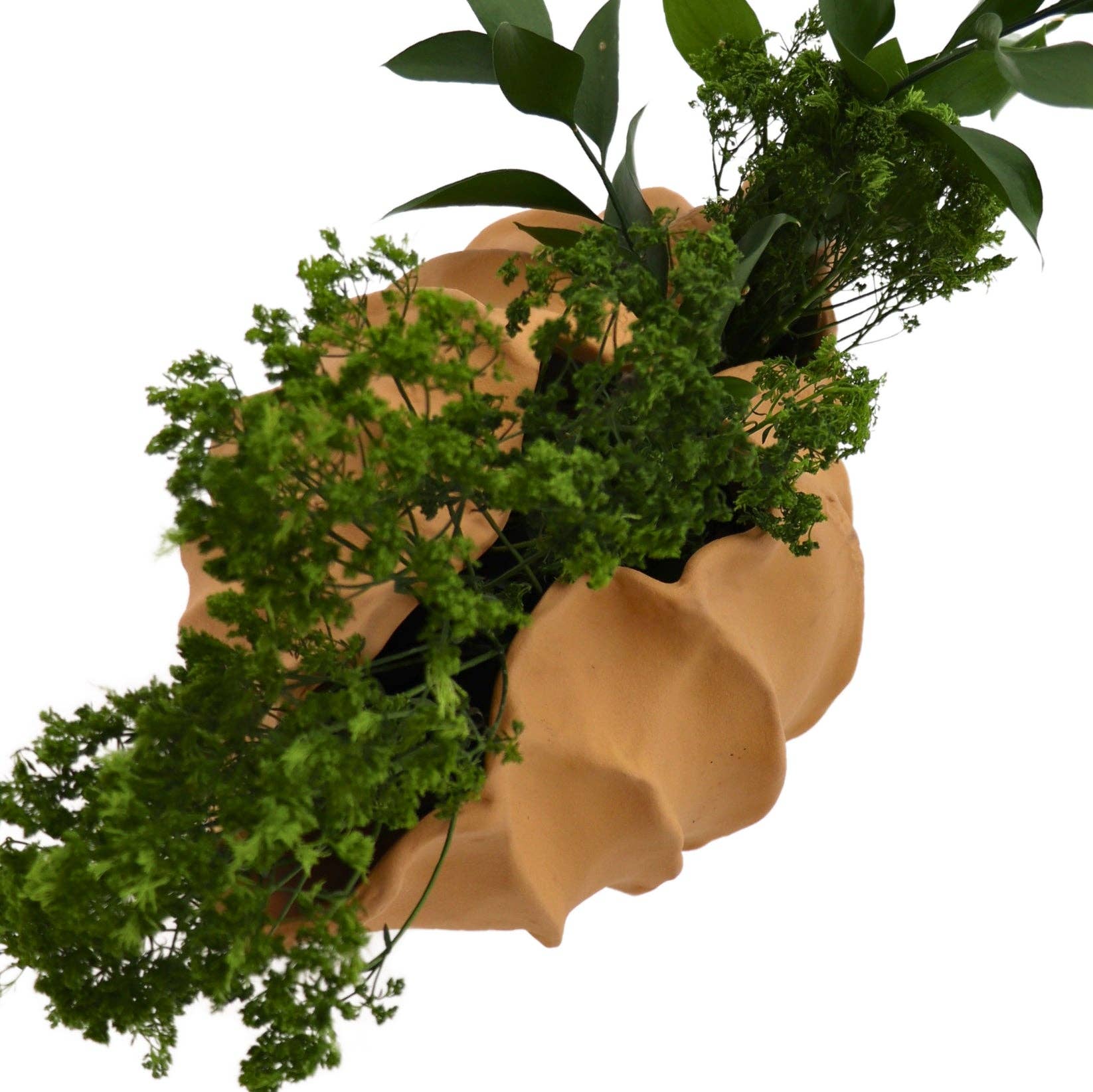 Ro’Table NYC - Wholesale Vase - Sirene Shell Vase7