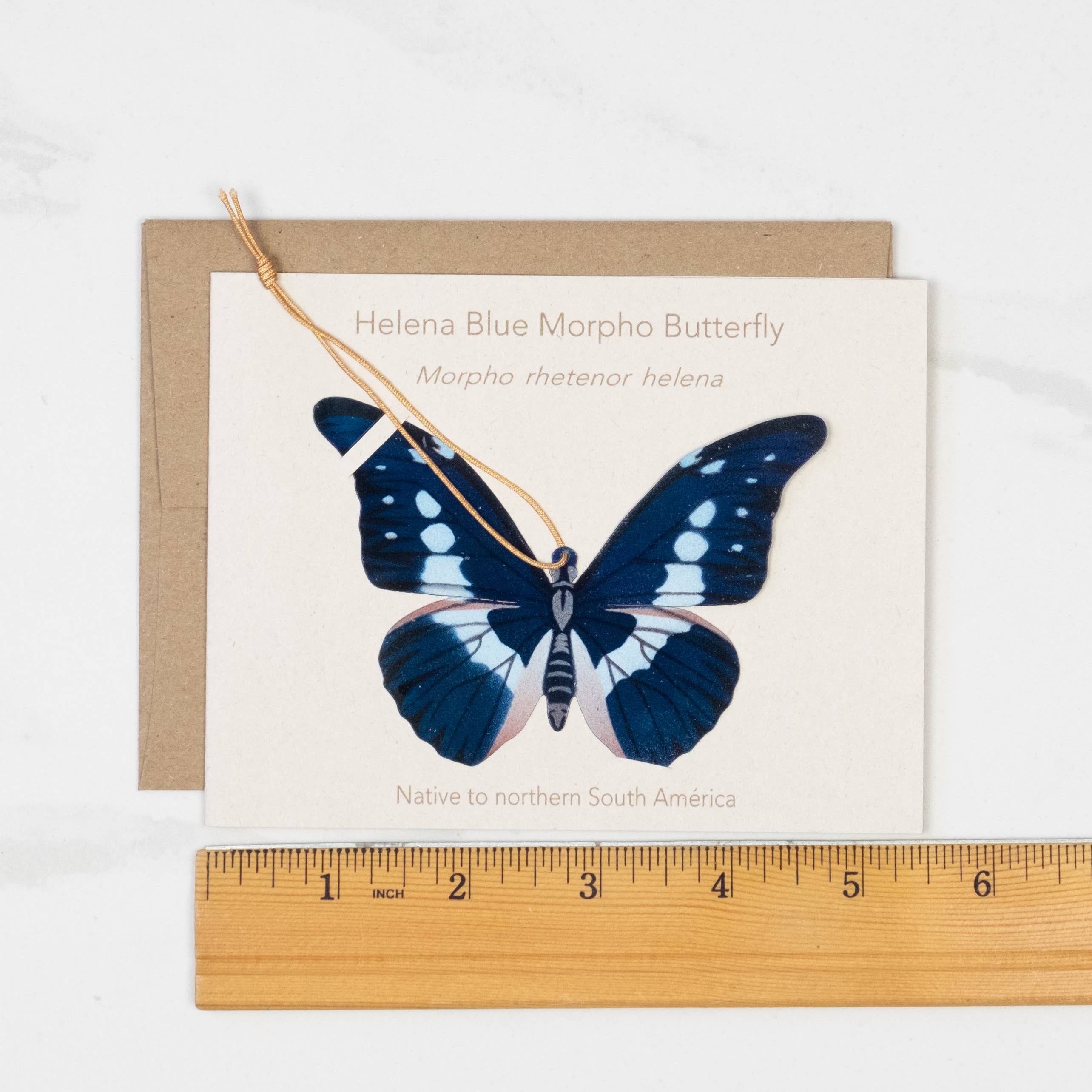 Tulia's Artisan Gallery - Wholesale Bookmark - Blue Morpho Butterfly Ornament + Notecard6