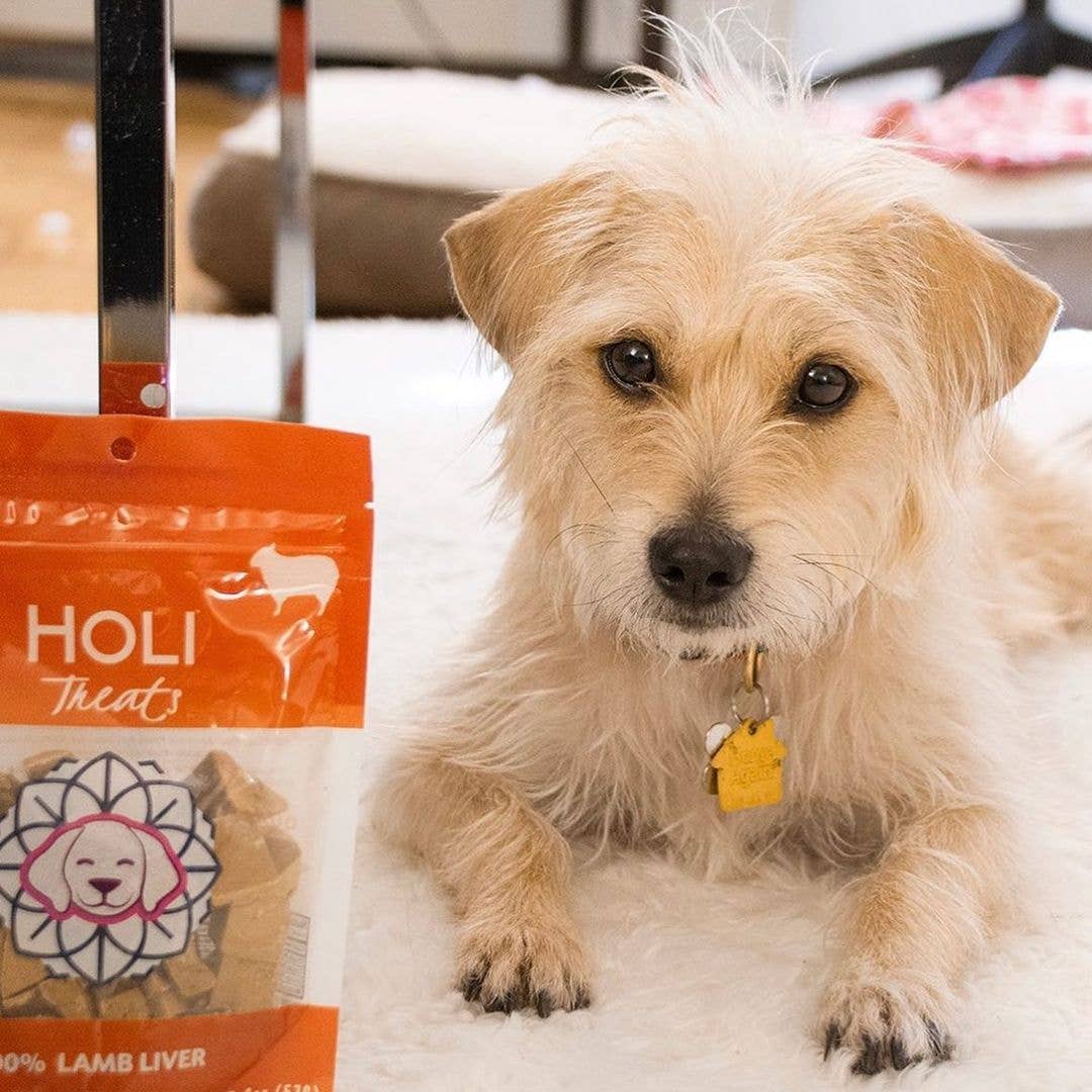 HOLI - Wholesale Pet Treats - Dog - Lamb Liver Dog Treats - All Natural - Freeze Dried2