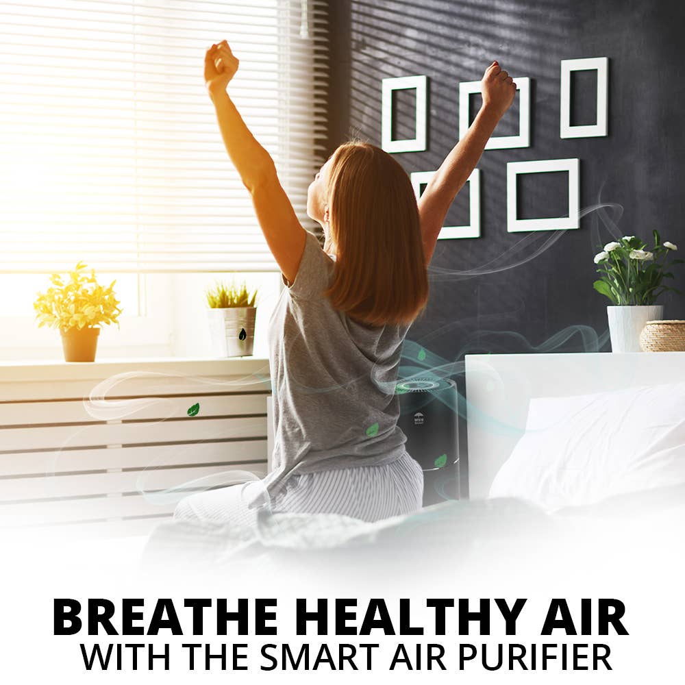 WBM LLC - Wholesale Air Humidifier - WBM SMART HEPA Air Purifier Replacement Filter, Pack 28