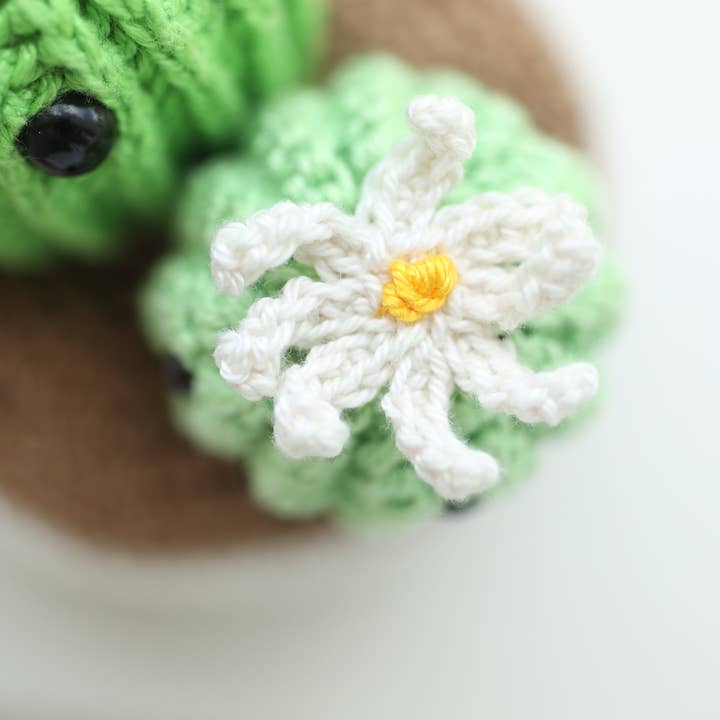 Anh2 LTD - Wholesale Car Decorative Charm - Unisex - Crochet Cute Cactus Plant Couple Car Dashboard Ornament Gift3