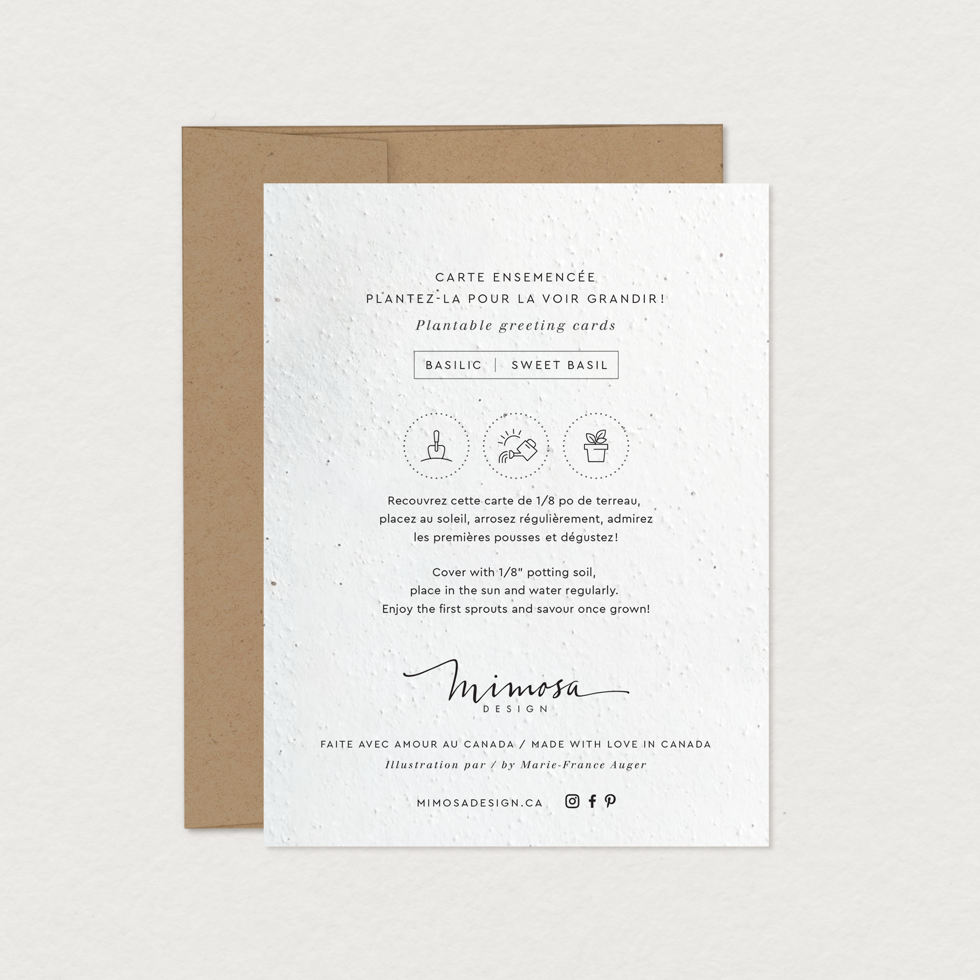 Mimosa Design - Wholesale Christmas Card - Christmas Greeting Card - Christmas Stocking1