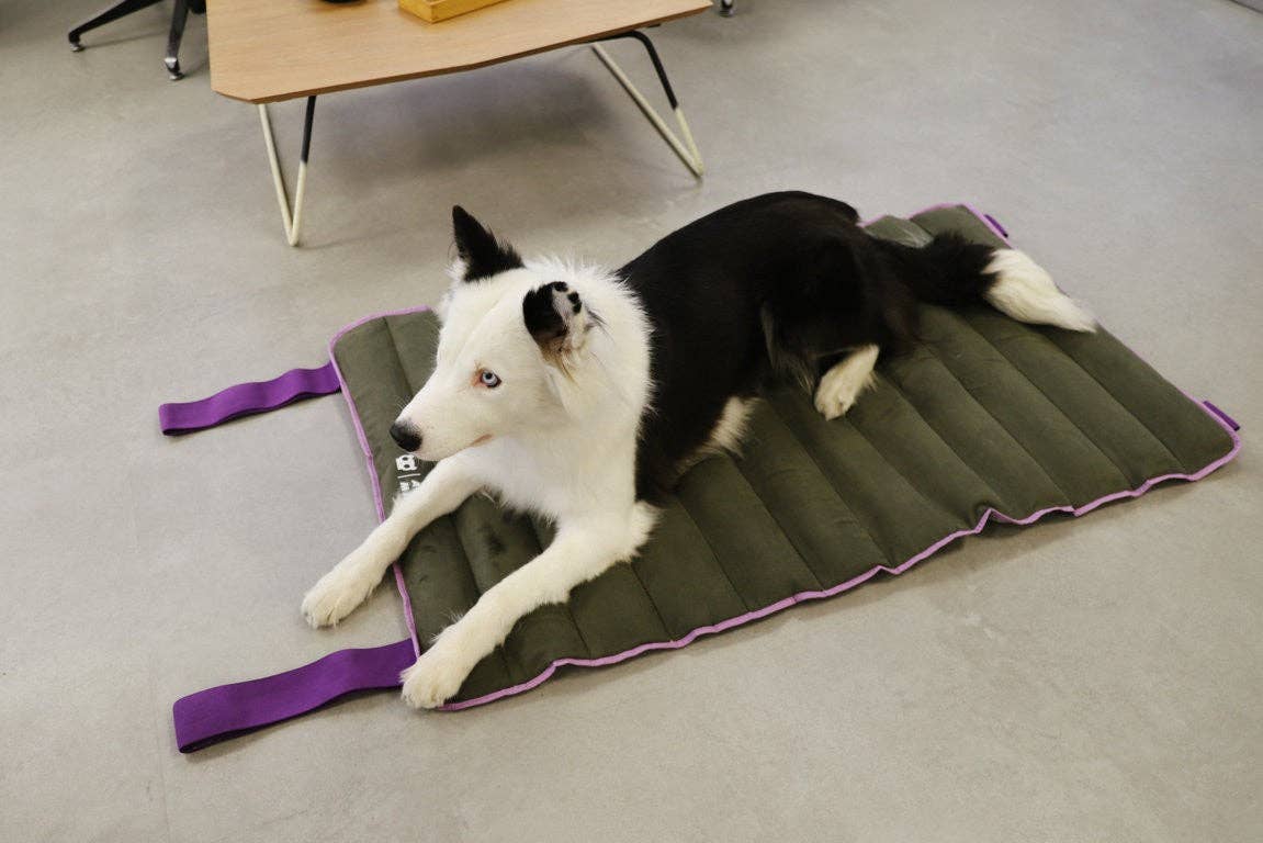 Hundog - Official zee.dog distributor - Wholesale Pet Bed - Dog - Air.Mat travel mattress1