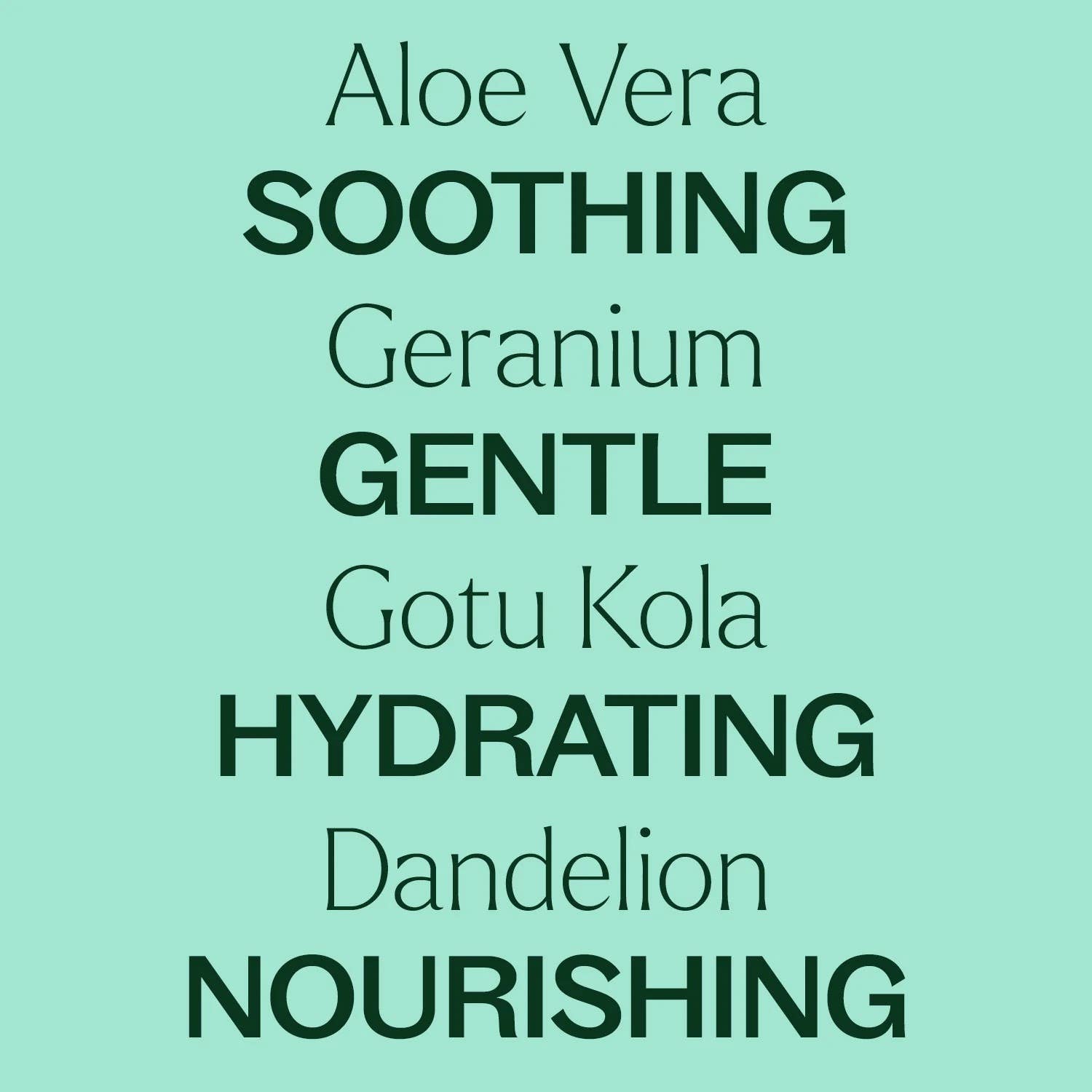 Plant Therapy - Venta al por mayor Espráis/cremas de aloe - Gel de aloe vera sin fragancia 473 ml2