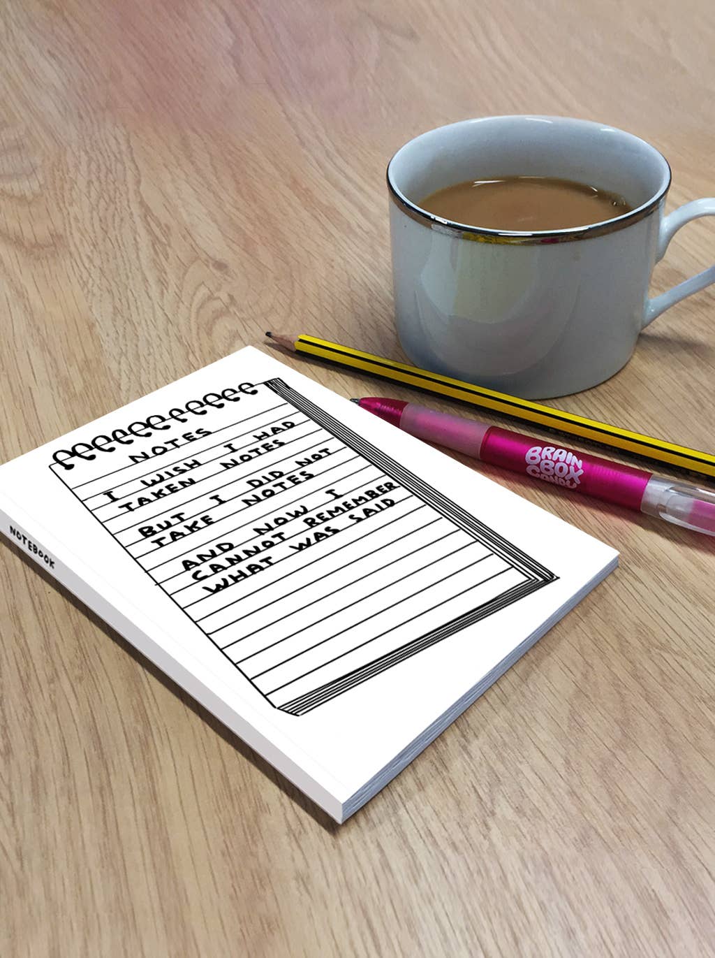 David Shrigley x Brainbox Candy - Vendita all'ingrosso Quaderni - Quaderno A6 divertente - David Shrigley 'Wish I'd Taken Notes'1