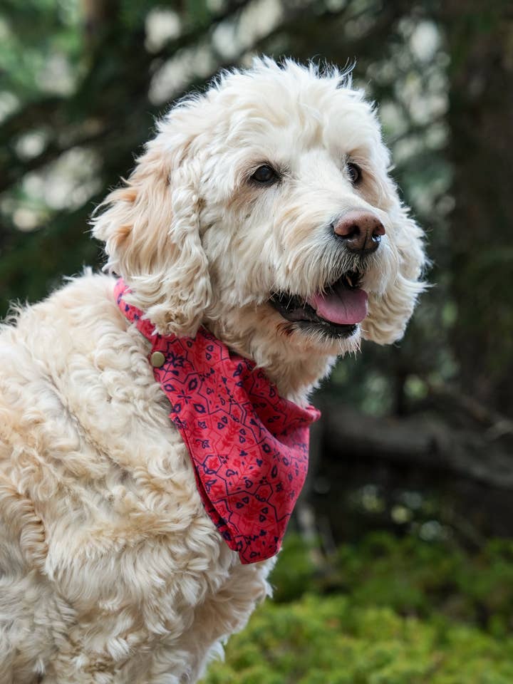 Dog Bandana for wholesale by Bought Beautifully