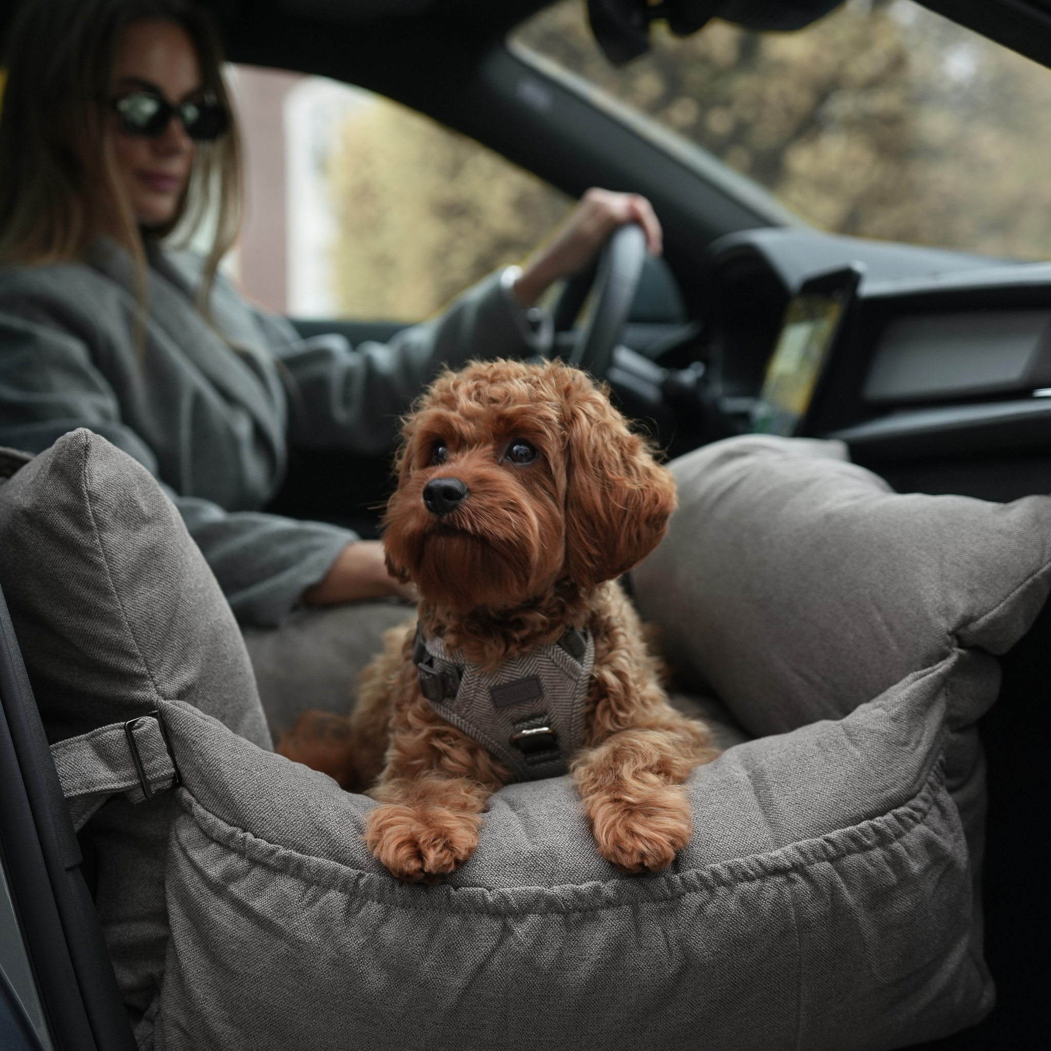 Staey - Wholesale Pet Carrier - Dog - Lara Car Seat | Taupe 2.013
