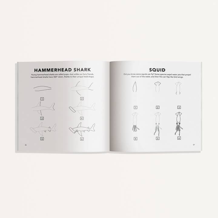 Paige Tate & Co. - Wholesale Baby and toddler book (0–2) - Under the Sea: How to Draw Book for Kids (Stocking stuffers)3