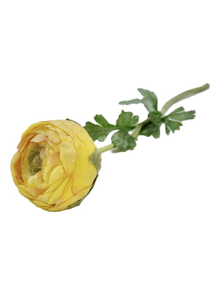 Caule de Ranúnculo - Amarelo por atacado de Sherri's Designs